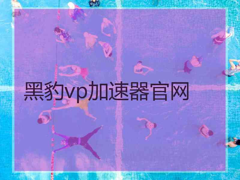 黑豹vp加速器官网