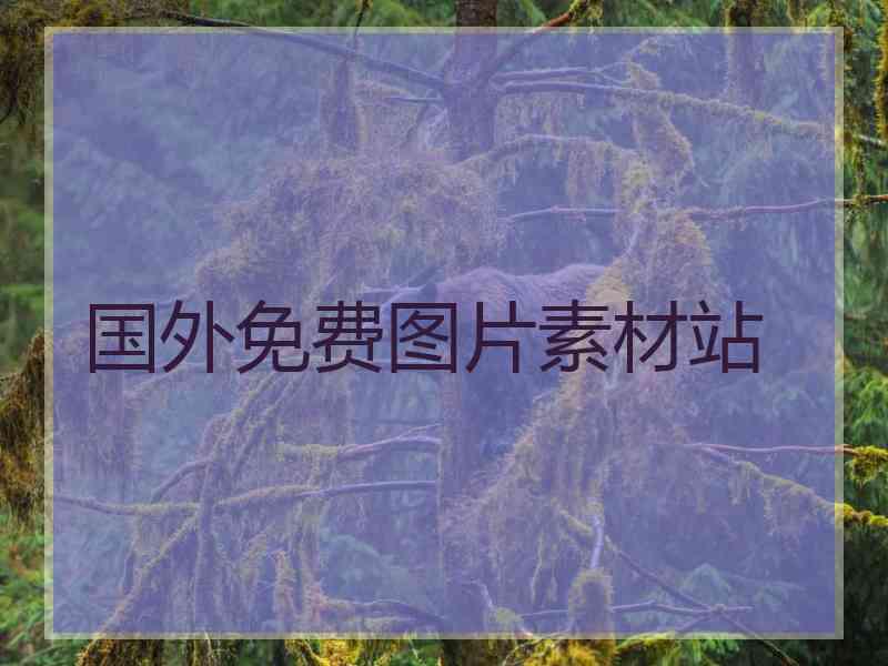 国外免费图片素材站