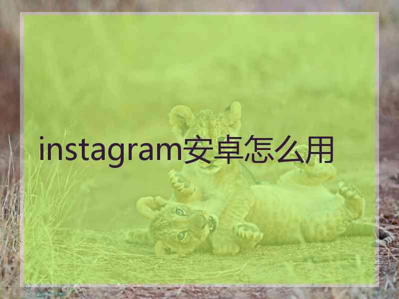 instagram安卓怎么用