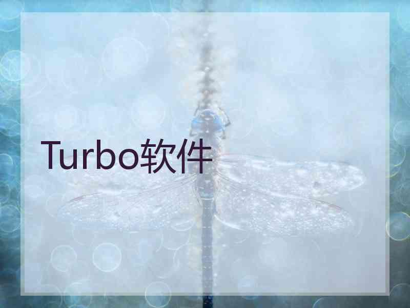 Turbo软件