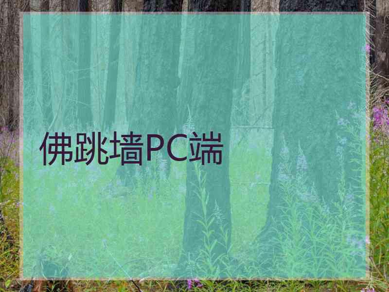 佛跳墙PC端