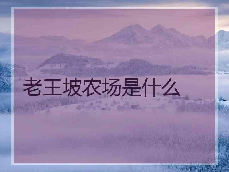老王坡农场是什么