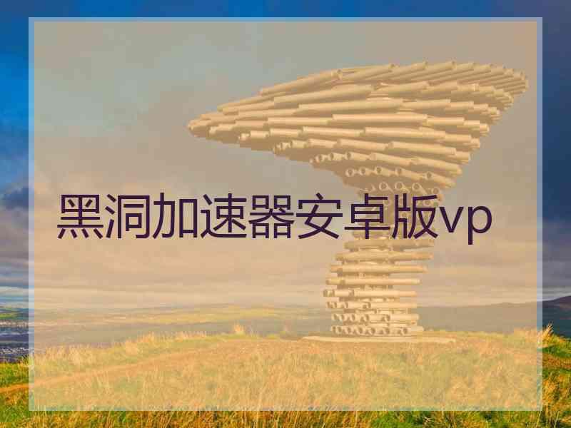 黑洞加速器安卓版vp