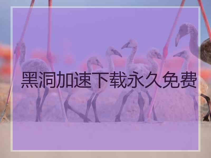 黑洞加速下载永久免费