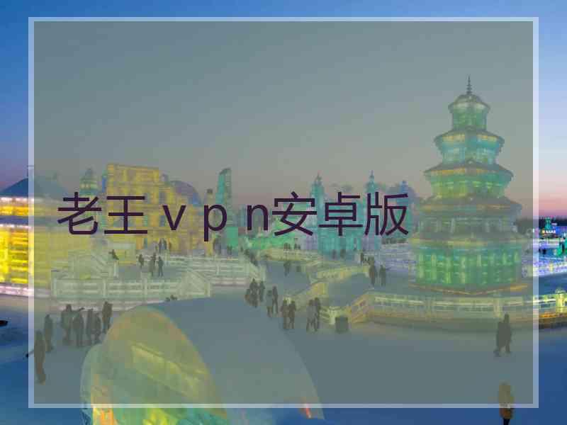 老王 v p n安卓版