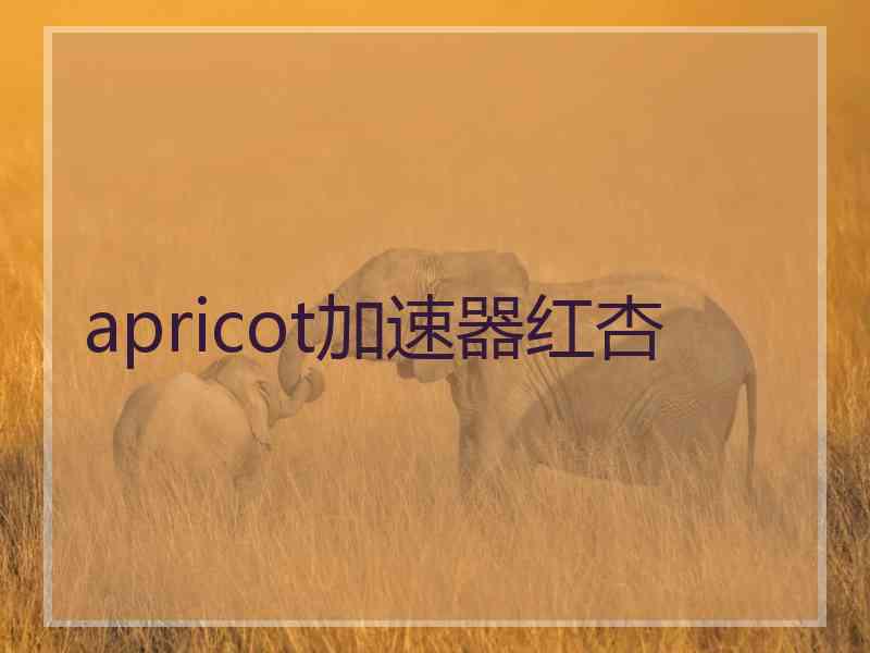 apricot加速器红杏