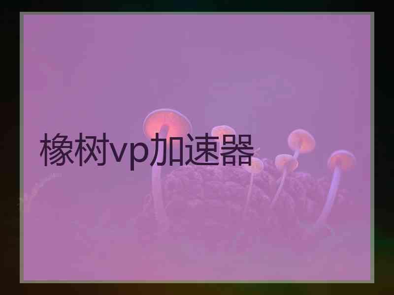 橡树vp加速器