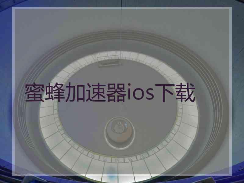 蜜蜂加速器ios下载