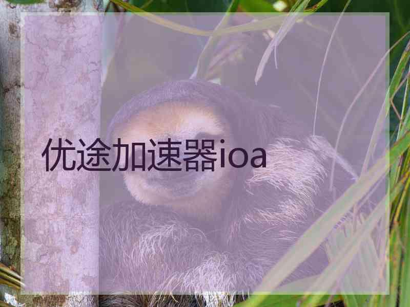 优途加速器ioa