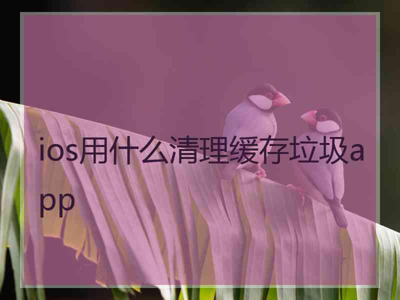 ios用什么清理缓存垃圾app