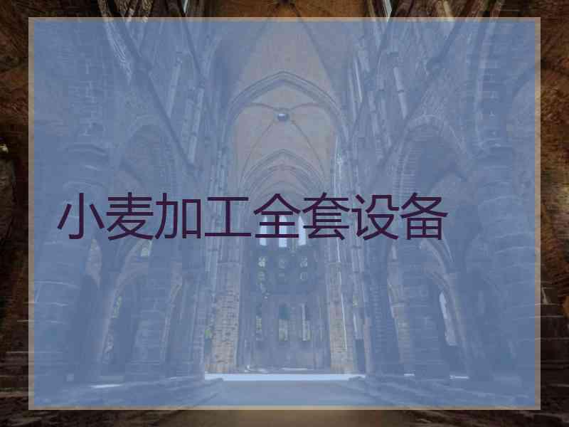 小麦加工全套设备