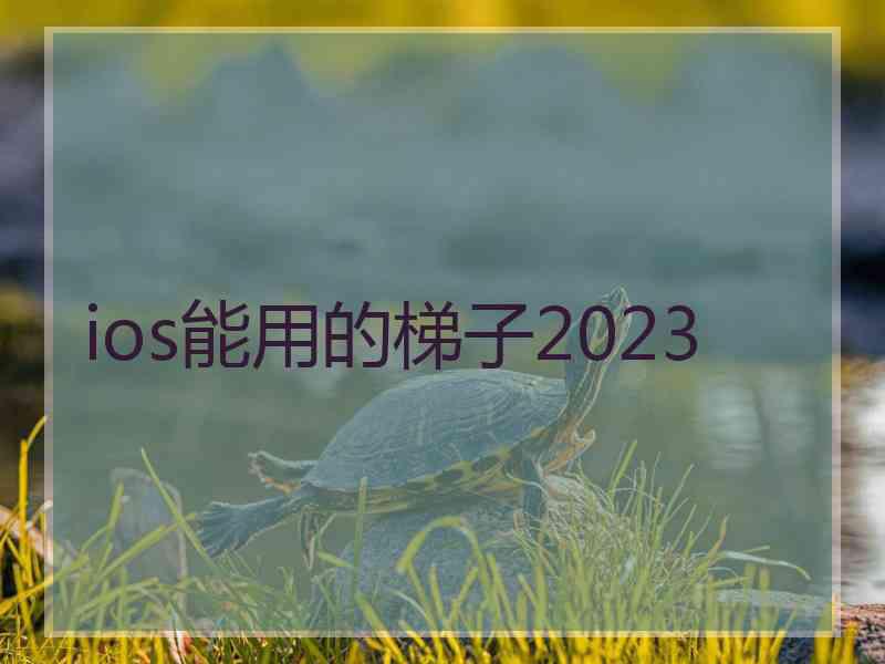 ios能用的梯子2023