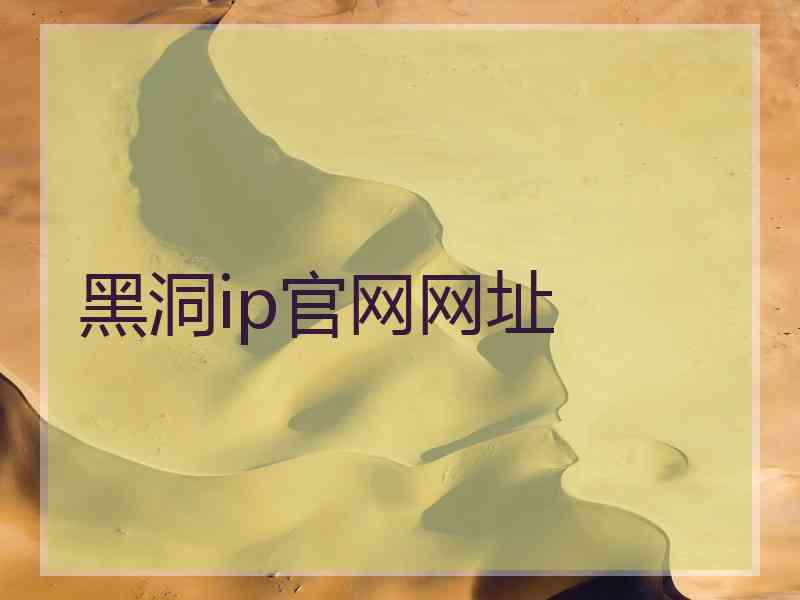 黑洞ip官网网址