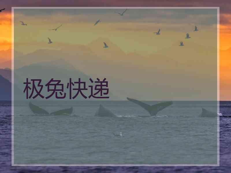 极兔快递