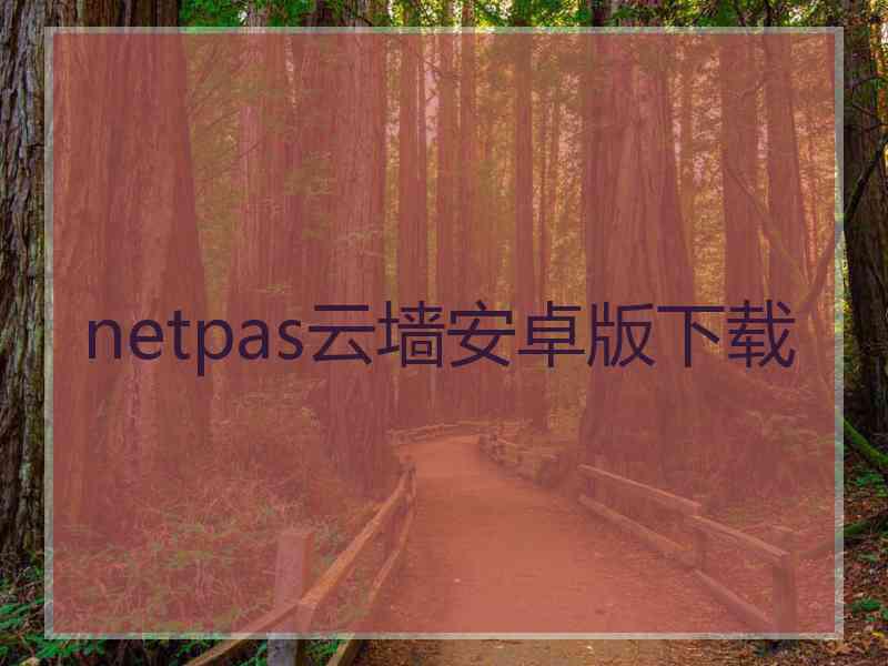 netpas云墙安卓版下载