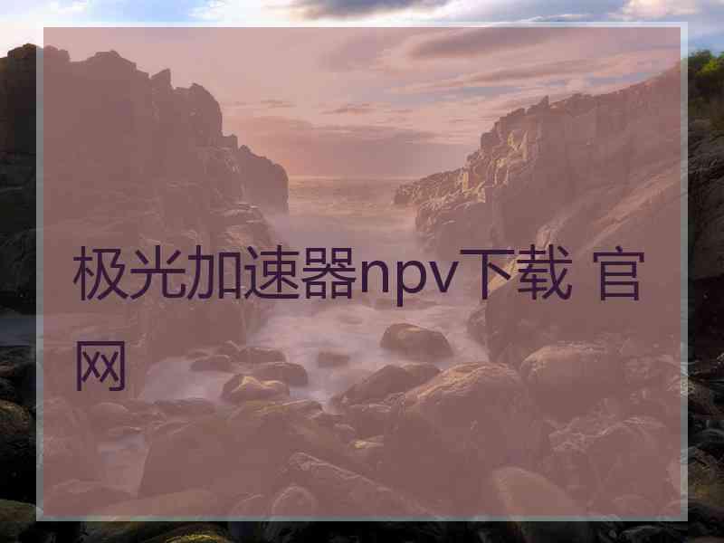 极光加速器npv下载 官网