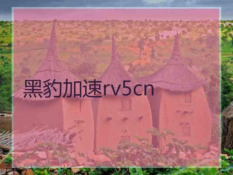 黑豹加速rv5cn