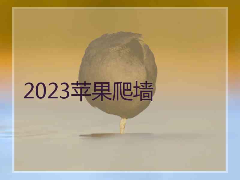 2023苹果爬墙