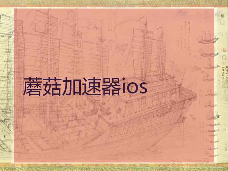 蘑菇加速器ios