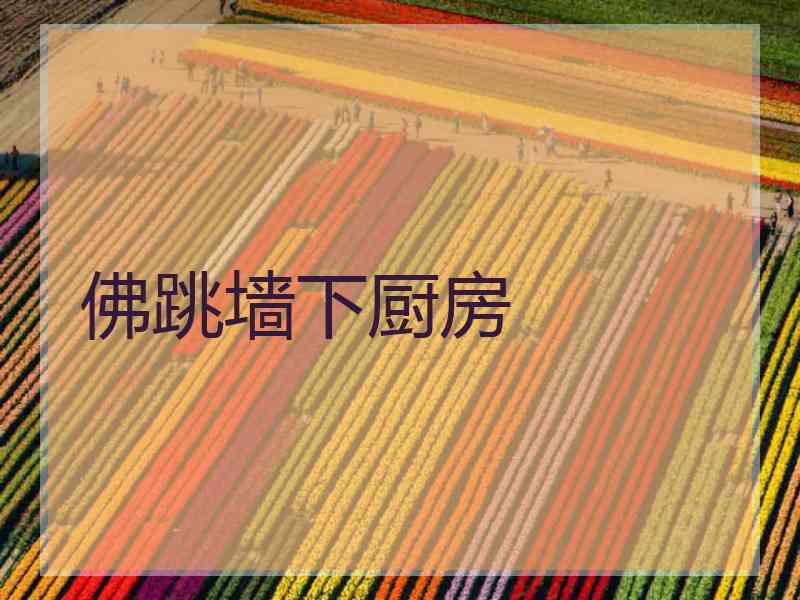 佛跳墙下厨房