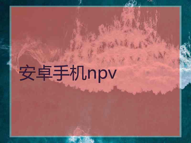 安卓手机npv