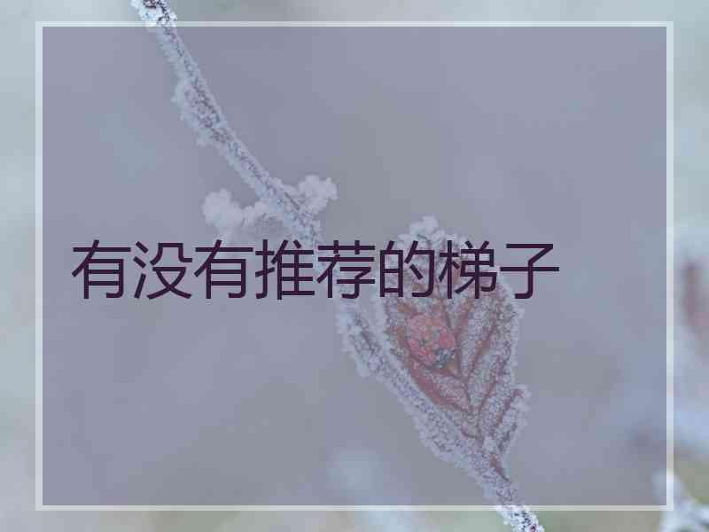 有没有推荐的梯子