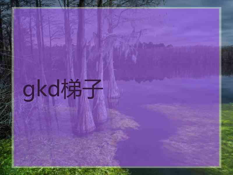 gkd梯子