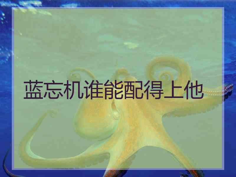 蓝忘机谁能配得上他
